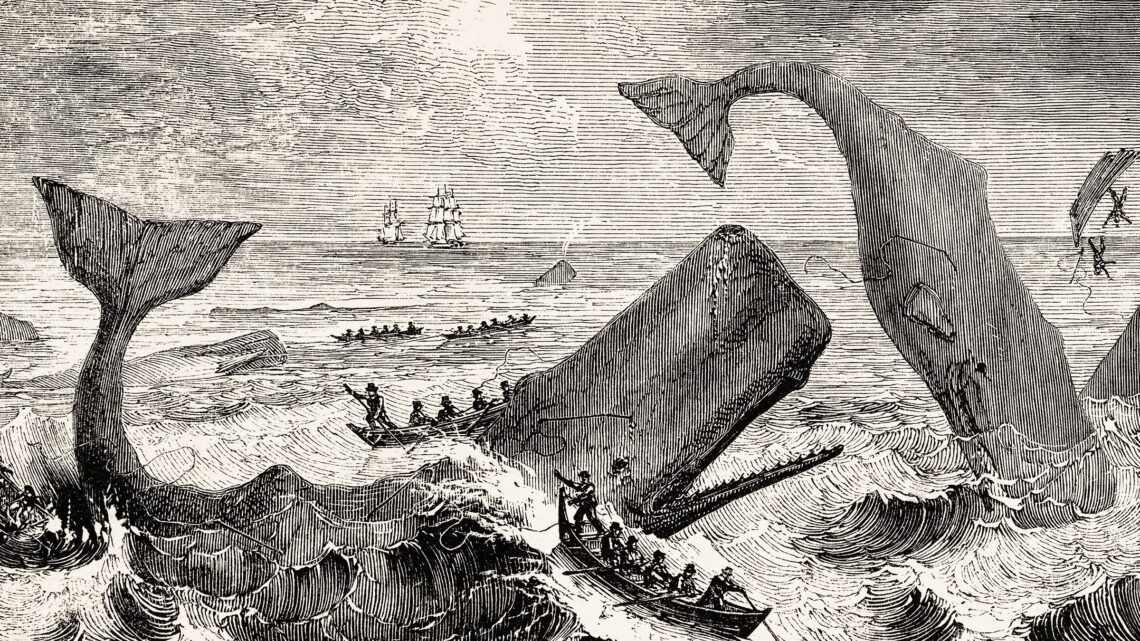 Whaling Away – La poesía de la ciencia