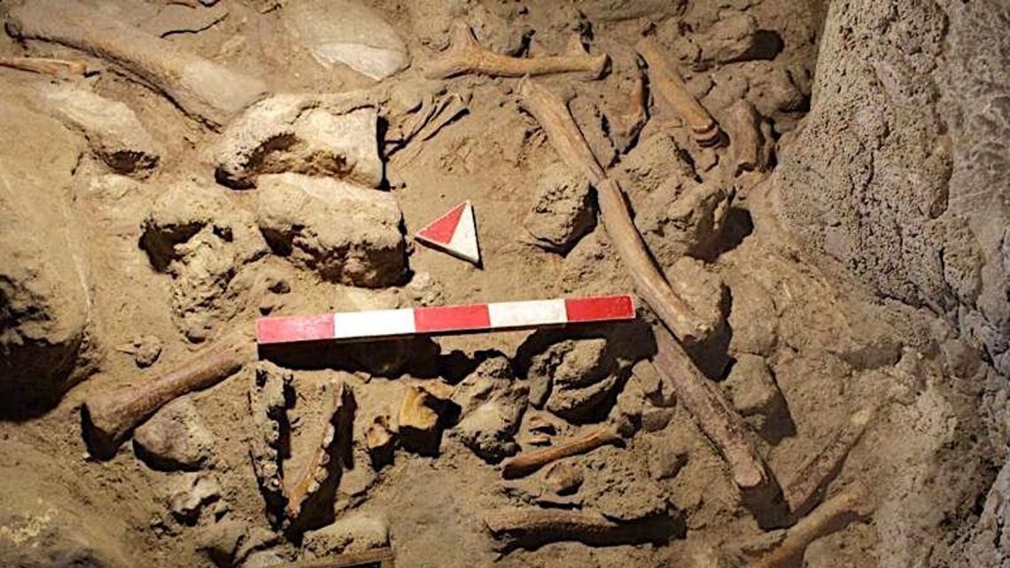 Fósiles extraordinarios de 9 neandertales descubiertos en una cueva en las afueras de Roma