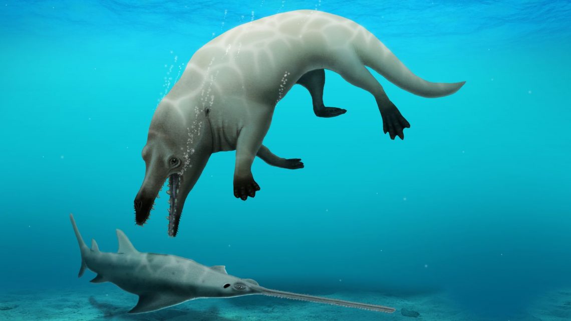 Los científicos encuentran un fósil mortal de ballena de 4 patas que no sabían que existía