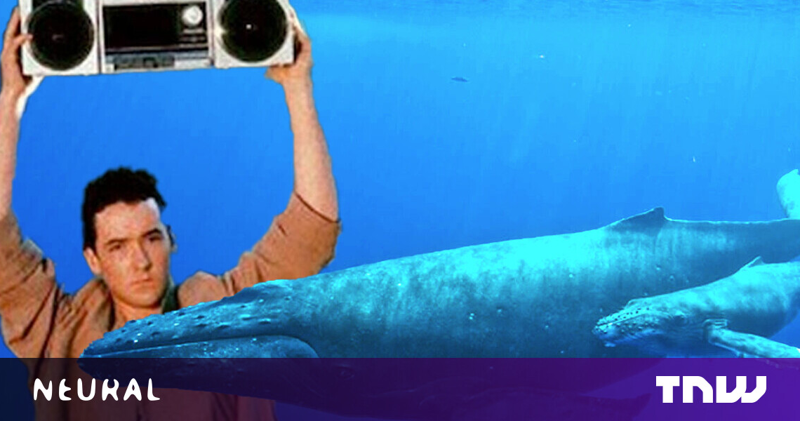 Los científicos creen que finalmente pueden hablar con las ballenas.  ¿Quizás no deberían?