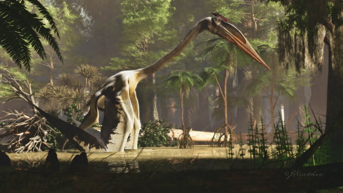 Arriba, arriba y lejos: el pterosaurio más grande del mundo ha saltado para volar