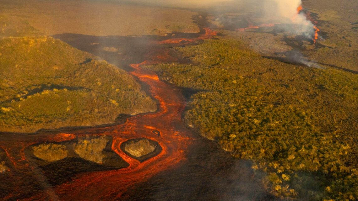 El volcán más alto de Galápagos entra en erupción arrojando lava y ceniza