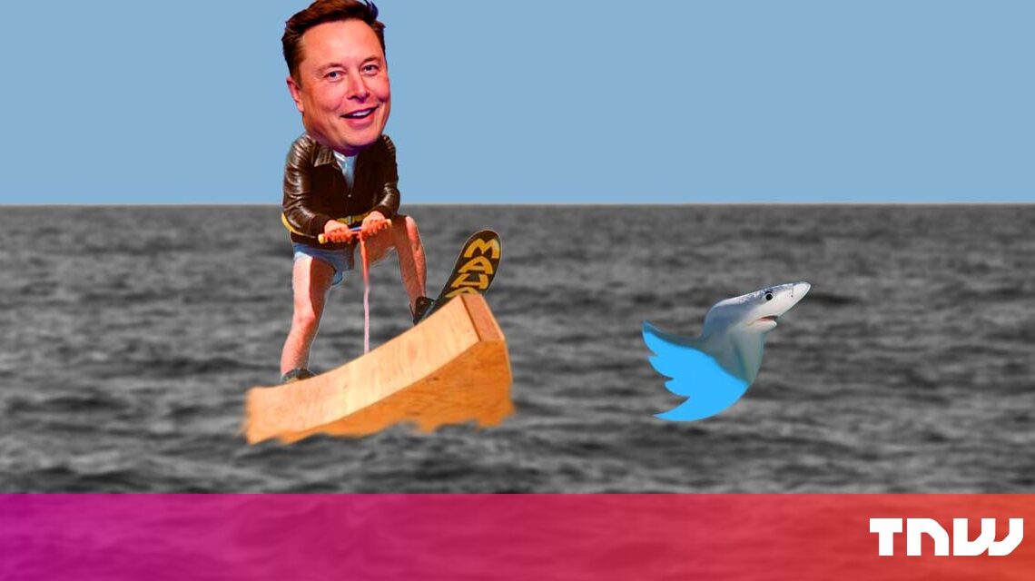 Elon Musk salta sobre el tiburón