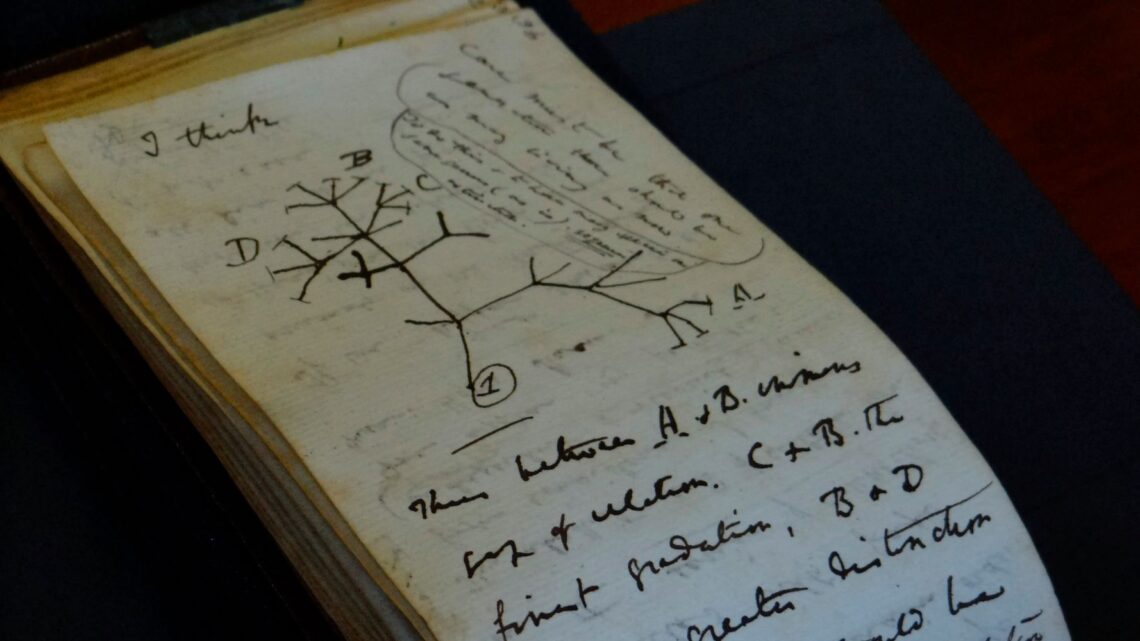 Los cuadernos perdidos de Charles Darwin son devueltos en circunstancias misteriosas