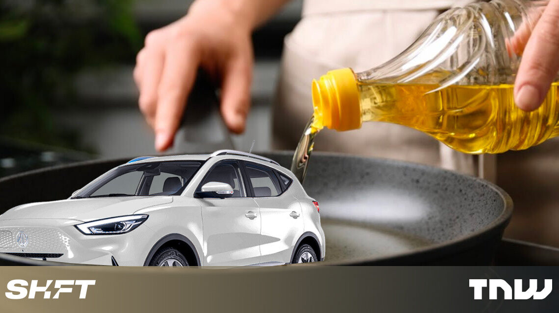 Cómo hacer funcionar tu coche con aceite vegetal