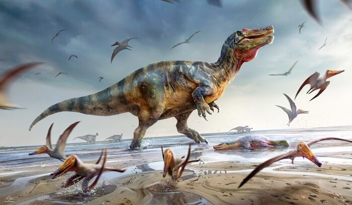 El depredador terrestre más grande de Europa descubierto en la Isla de Wight
