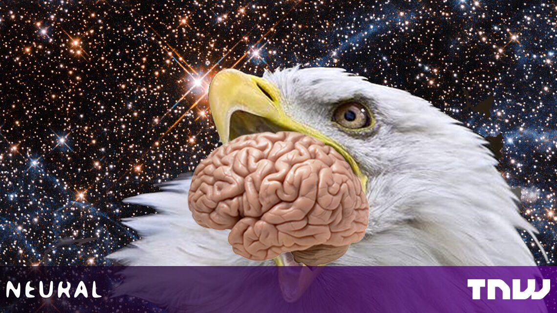 ¿Qué sucede si colocamos una IA «consciente» dentro de un cerebro creado en laboratorio?
