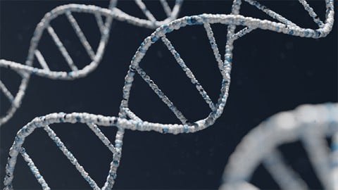 Identifican nuevo gen para la enfermedad de Alzheimer en mujeres