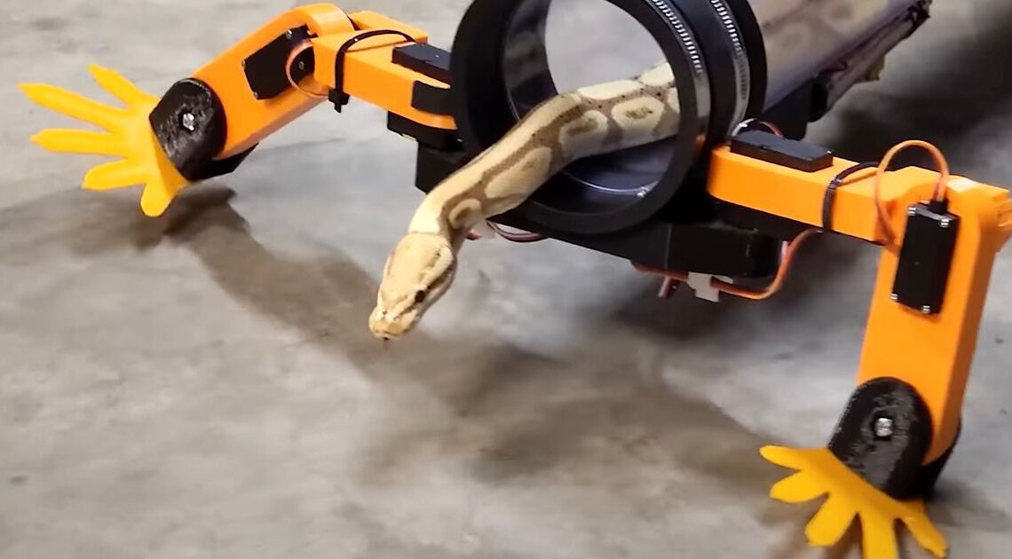 Alguien le dio piernas a un robot serpiente, por alguna razón horrible