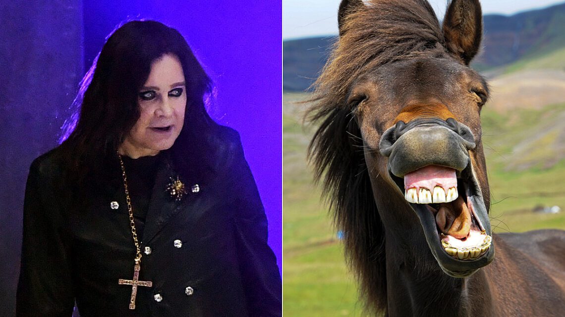 Ozzy Osbourne renunció a tomar ácido después de hablar con un caballo