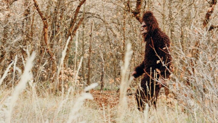 Funcionarios de Parques de Pensilvania publican declaración curiosa sobre advertencias de Bigfoot