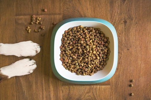 Comida seca para mascotas mejor para el medio ambiente