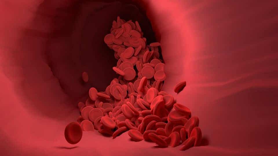 Sangre cultivada en laboratorio utilizada por primera vez en pacientes humanos