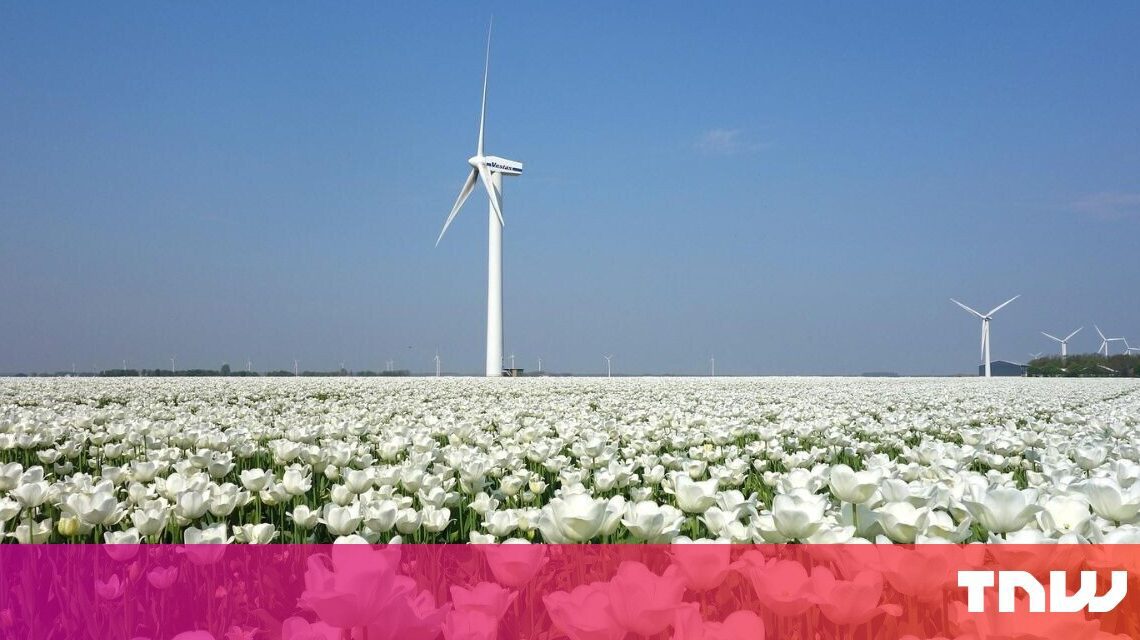 Los Países Bajos son el caldo de cultivo perfecto para las nuevas empresas de tecnología ecológica