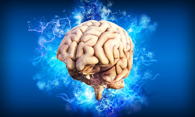 ¿Cuáles son los tres tipos de lesiones cerebrales?