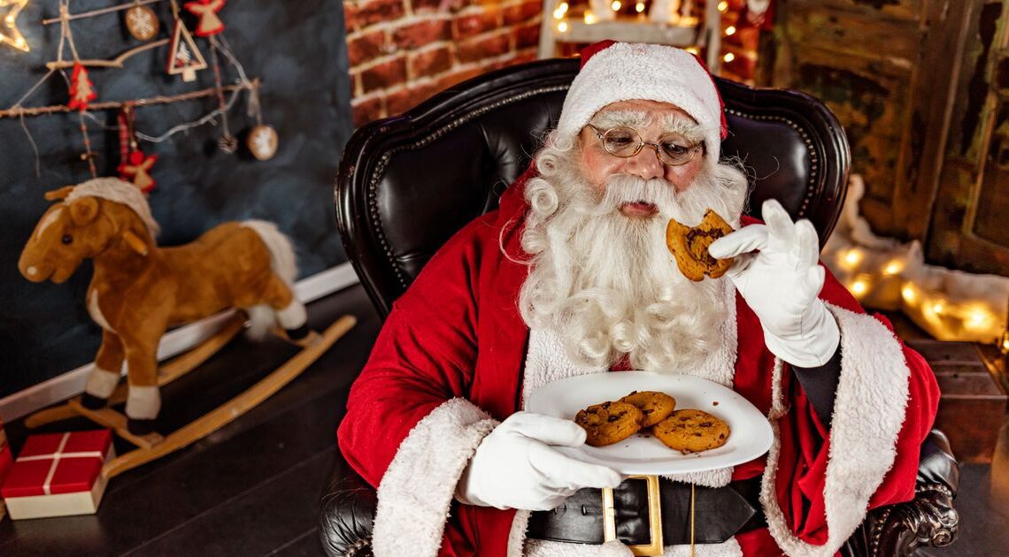 Chica le pide a la policía que analice una galleta para encontrar el ADN de Papá Noel
