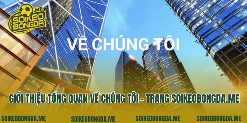 Giới thiệu tổng quan về chúng tôi - trang c6na.tv